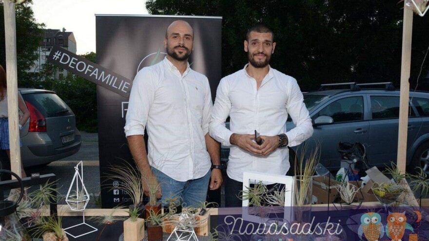 Strahinja Malin i Sava Franović uzgajaju vazdušne biljke u Novom Sadu