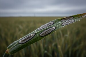 Važna obavijest ratarima!