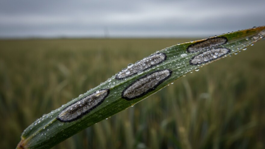 Važna obavijest ratarima!