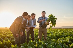 Većim prinosima do veće zarade