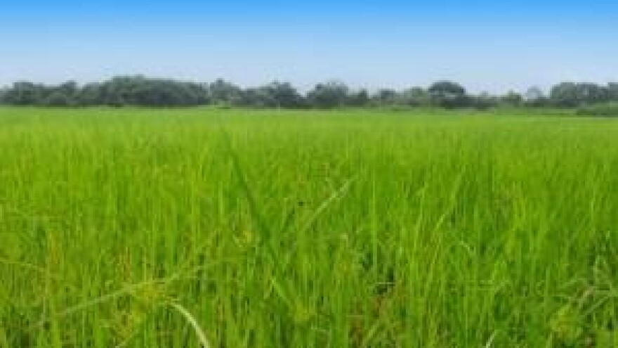 Izgledi za Hrvatsku za 14.03.2014-16.03.2014