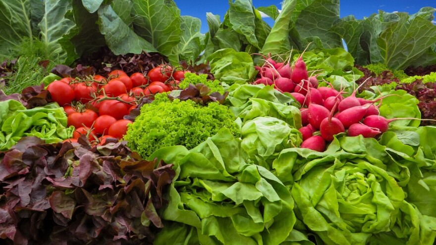 Nova uredba o ekološkoj proizvodnji