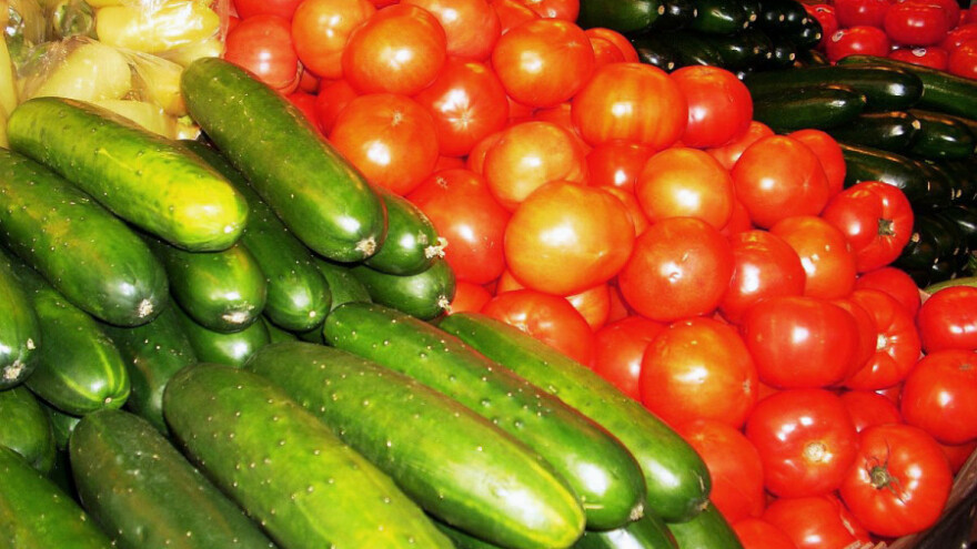 Veći izvoz rešenje za povrtare