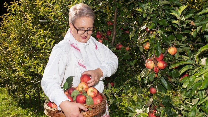 Nataša Veić: Što sad? Smanjenjem koeficijenta više ne ispunjavam uvjete za mjeru 6