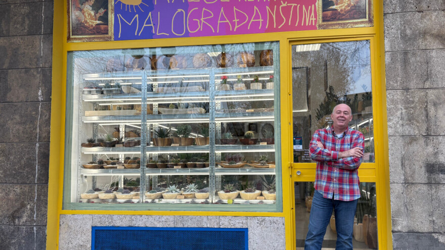 Kad sukulenti cvjetaju? Zna Velebit Kalinić koji je otvorio ovu neobičnu cvjećarnicu