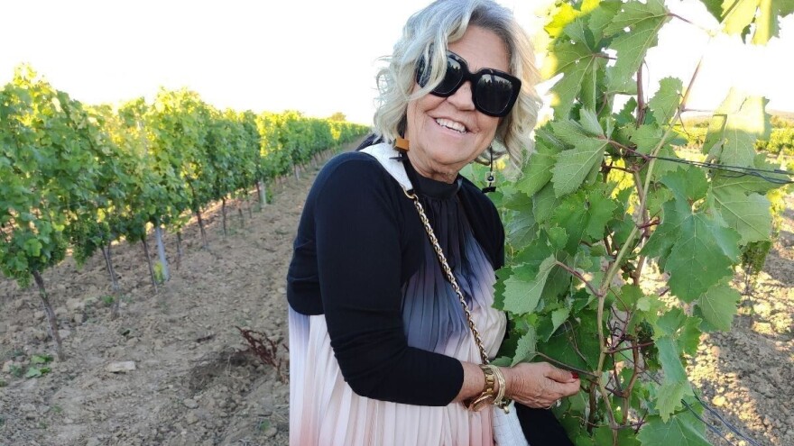 Kako su autohtone sorte povezale portugalske, ravnokotarske i hercegovačke vinogradare  i vinare?