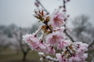 Velike štete i u središnjoj Hrvatskoj