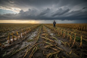 Velike štete od leda u okolici Gunje
