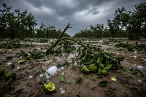 Velike štete od tuče u dolini Neretve