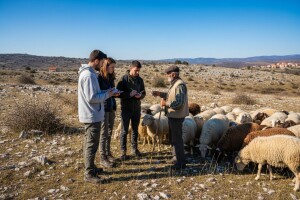 Veliko zanimanje za Studij poljoprivreda krša - stočarstvo