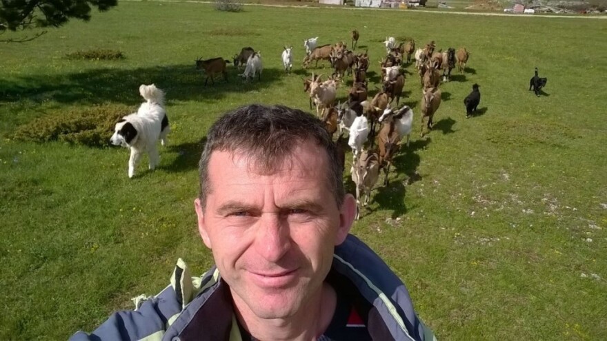 Na planini Blidinje uzgajaju koze, ovce i krave