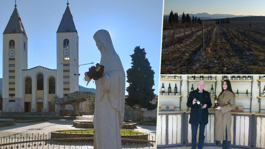 Broćanska žila(vka) kucavica - za smijeh i grijeh