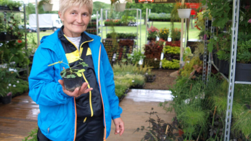 Floraart: Od eko konoplje do chili penisa