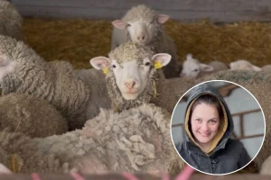 Veronika Brnja: Ovce sama jagnji, a vunu čuva
