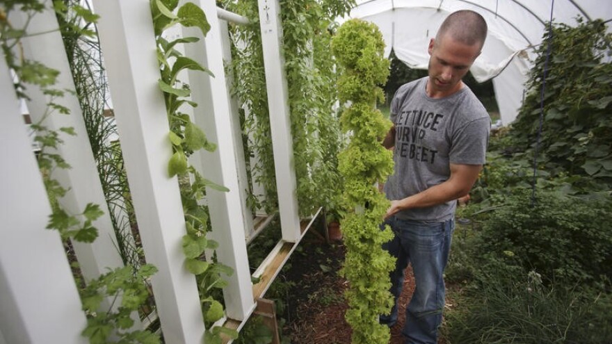 Vertikalne farme budućnosti - samo nebo je granica!