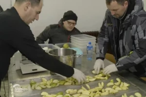 Sušenje voća i povrća isplativa delatnost