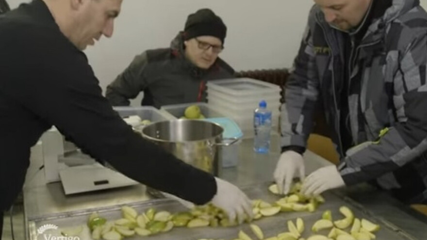 Sušenje voća i povrća isplativa delatnost