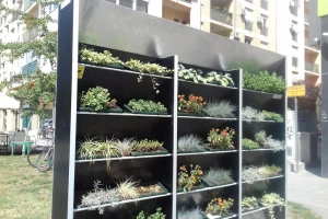 Novi Sad: Prva vertikalna bašta krasi Detelinaru