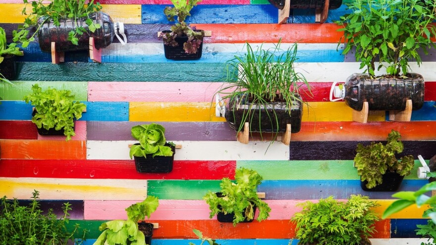 Vertikalni vrtovi - odlično rešenje za mala dvorišta i balkone