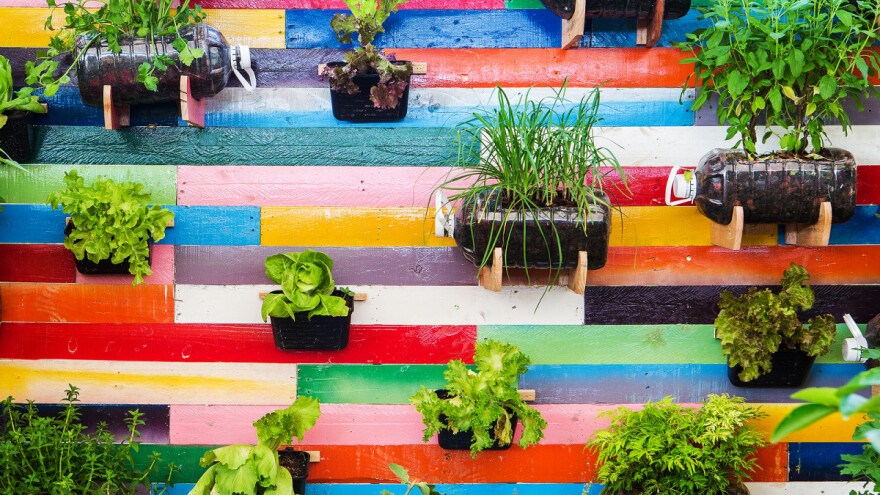 Vertikalni vrtovi - odlično rješenje za mala dvorišta i balkone