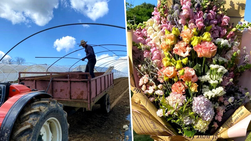 OPG Novosel: Naša su motivacija zadovoljni klijenti i oduševljenje kada preuzmu cvijeće