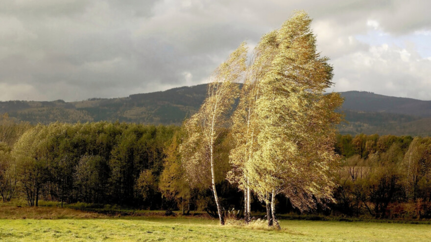 Ovih dana vetrovito, najveći udari u četvrtak i petak