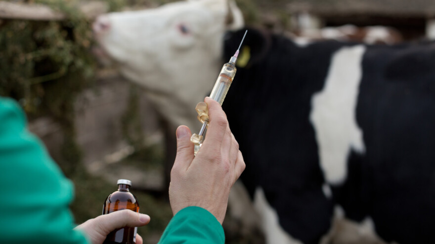 Nova EU pravila regulišu upotrebu veterinarskih lekova
