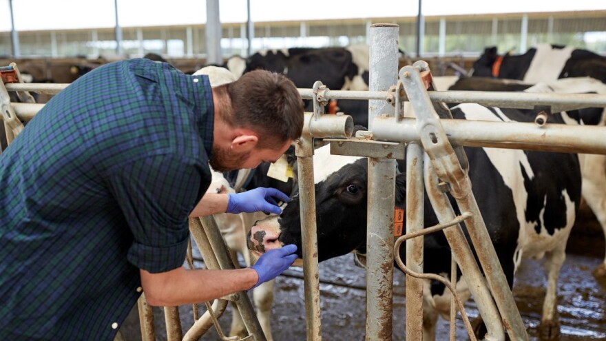 Postani poljoprivredni ili veterinarski tehničar, prijave su u tijeku!