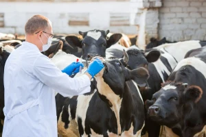 Uključite se u raspravu o veterinarskim proizvodima!