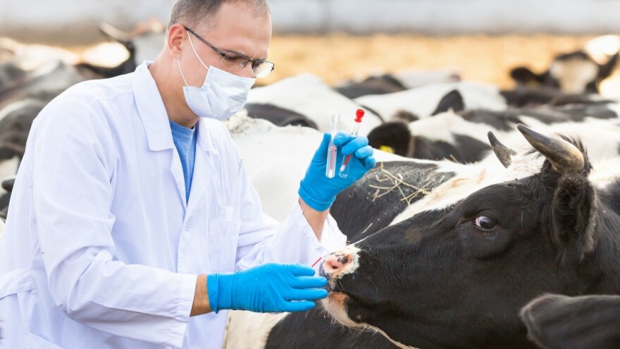 Federalno ministarstvo poljoprivrede traži pojačanu kontrolu životinja!