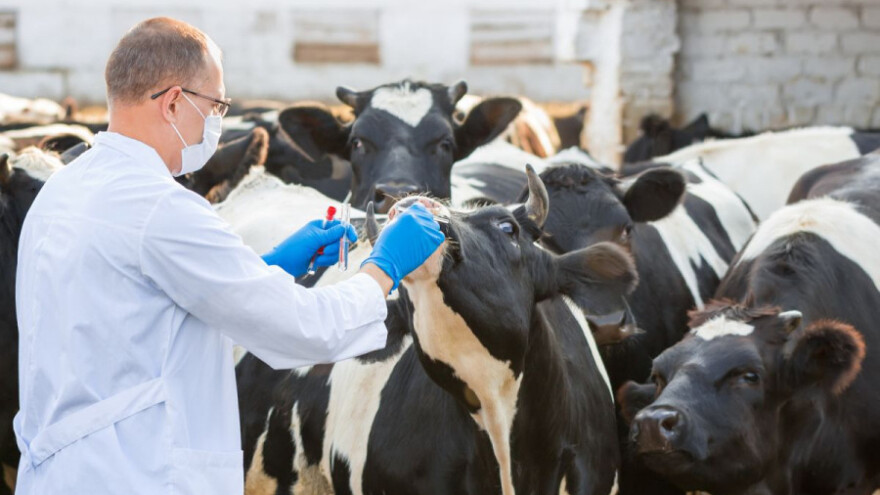 Uključite se u raspravu o veterinarskim proizvodima!