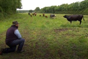 Veterinar Alfonso Camassa liječi krave pjevajući im operu