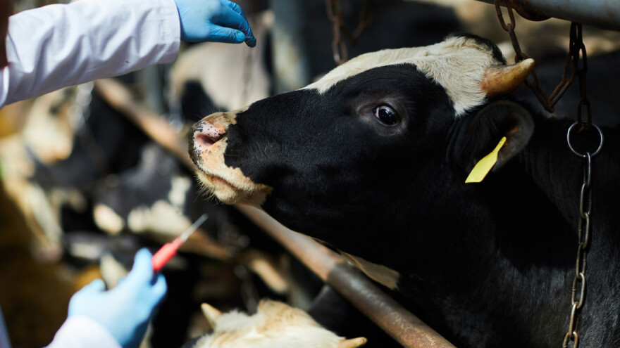 Veterinari stočarima naplaćuju provođenje obaveznih mjera koje su već plaćene iz federalnog budžeta