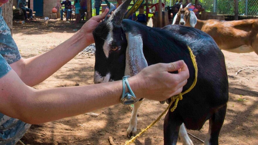 Obuka za službene veterinare Federacije BiH u 2018. godini