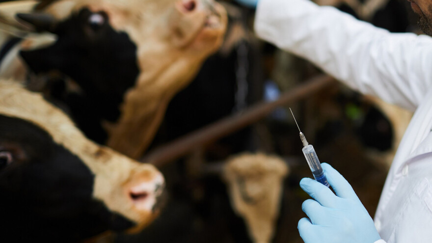 Objavljen Nacrt programa novčanih podrški u veterinarstvu - reagirajte!