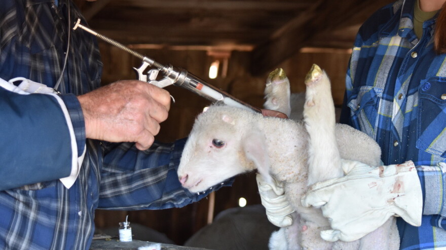 Veterinari u zabludi: Iako nema rješenje, Veterinarska komora izdaje i naplaćuje licence