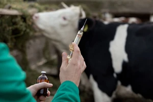 Rasprava o Zakonu o veterinarskim proizvodima