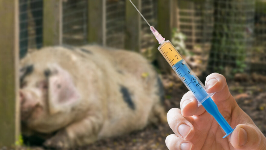 Lijekovi mogu biti štetni i za životinje i za ljude