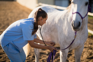 Javnost o  izmjenama Zakona o veterinarsko-medicinskim proizvodima