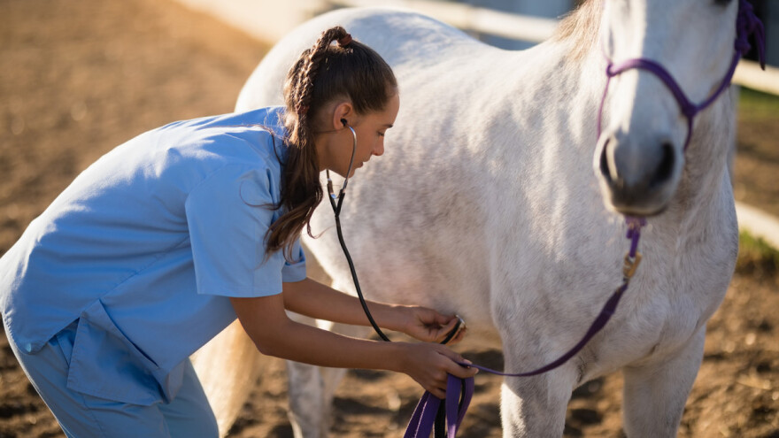 Javnost o  izmjenama Zakona o veterinarsko-medicinskim proizvodima
