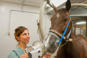 Kongres veterinarskih stručnjaka u Zagrebu