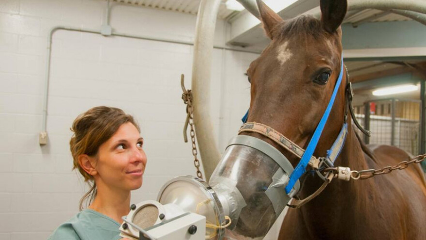 Kongres veterinarskih stručnjaka u Zagrebu