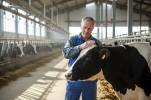 Veterinarski tehničar u proizvodnji mleka