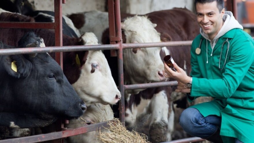 Veća kontrola proizvodnje hrane