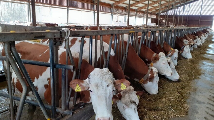 21. Svjetski dan školskog mlijeka obilježen na farmi PA-VITA