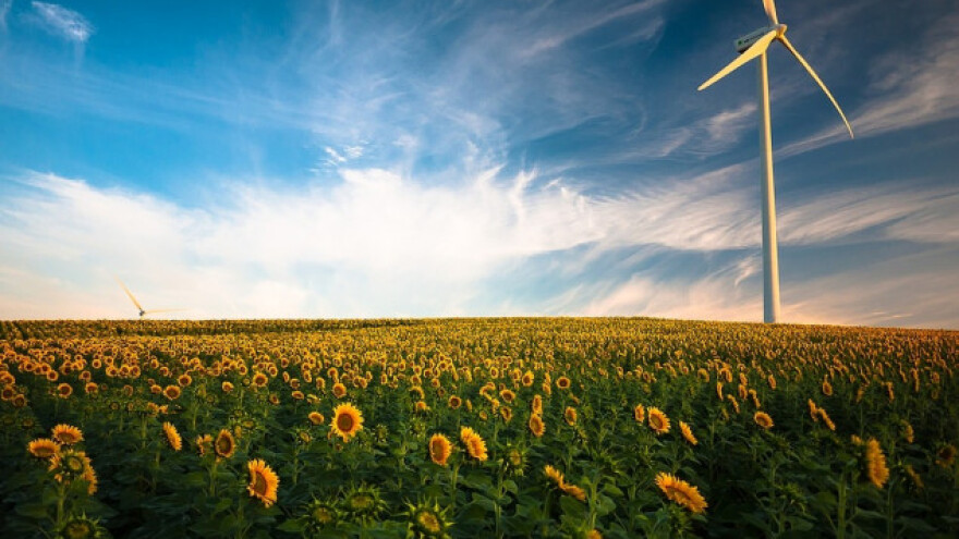 &quot;Zelena energija&quot; za trgovinu biomasom