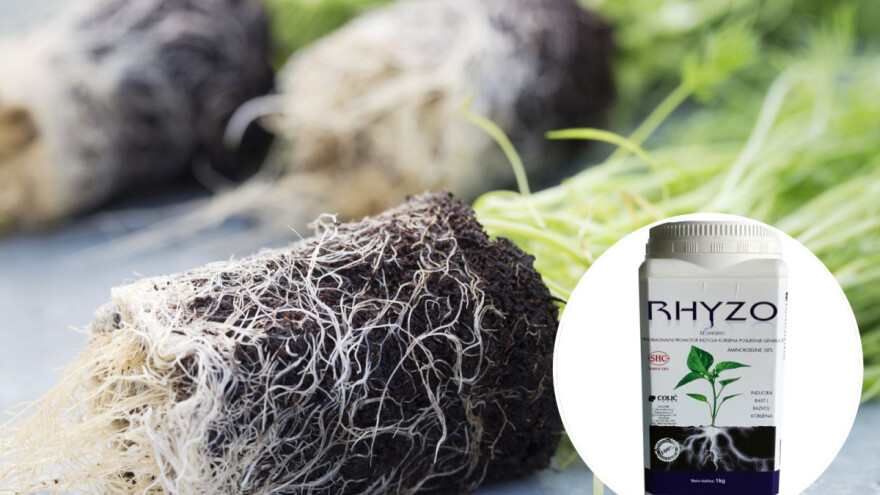 Igor Brlas: S Rhyzom povrće ima više cvjetova, jači korijen i zavidan prinos!