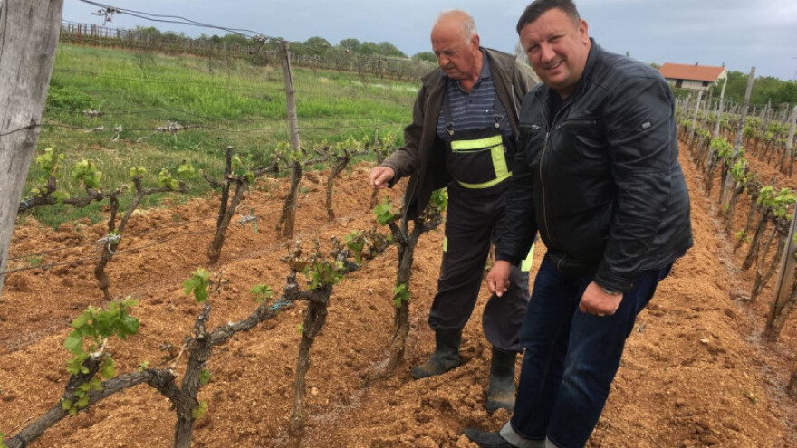 Odrađene predprocjene šteta od proljetnog mraza