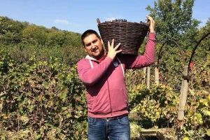 Istoričar Aleksandar Gajić uspešan u voćarstvu i vinogradarstvu