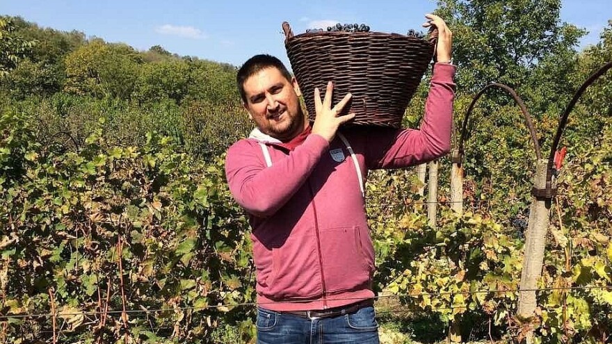 Istoričar Aleksandar Gajić uspešan u voćarstvu i vinogradarstvu